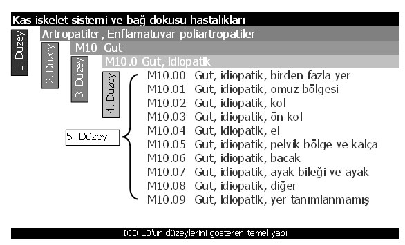 2. derece hipertansiyon için ICD-10 kodları